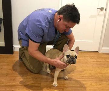 At Home Veterinary Services