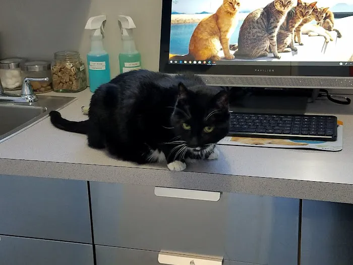 Upper East Veterinary Center 8