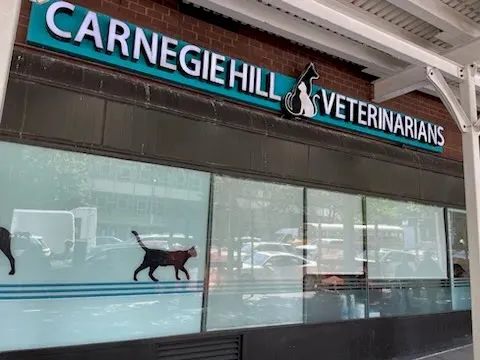 Carnegie Hill Veterinarians 9