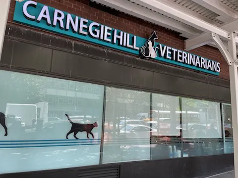 Carnegie Hill Veterinarians 10