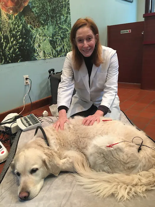 Dr. Babette Gladstein, VMD 7