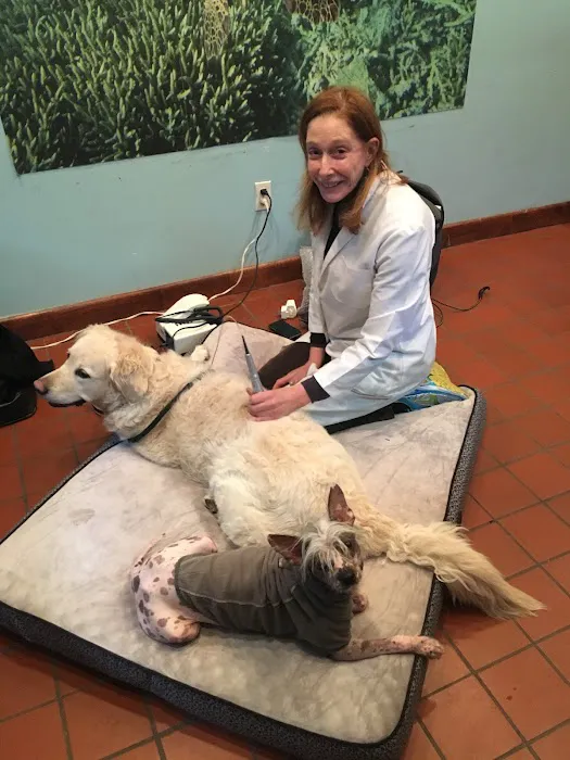 Dr. Babette Gladstein, VMD 4