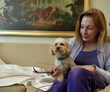 Dr. Babette Gladstein, VMD
