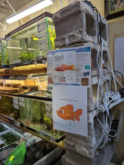 Fish Shack & Critters 12