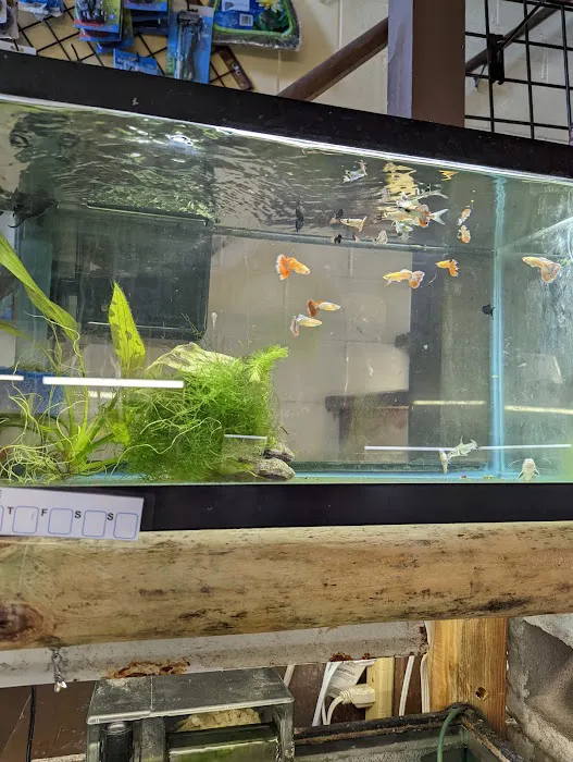Fish Shack & Critters 12