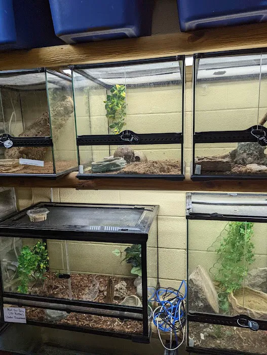 Fish Shack & Critters 12