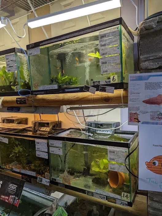 Fish Shack & Critters 12