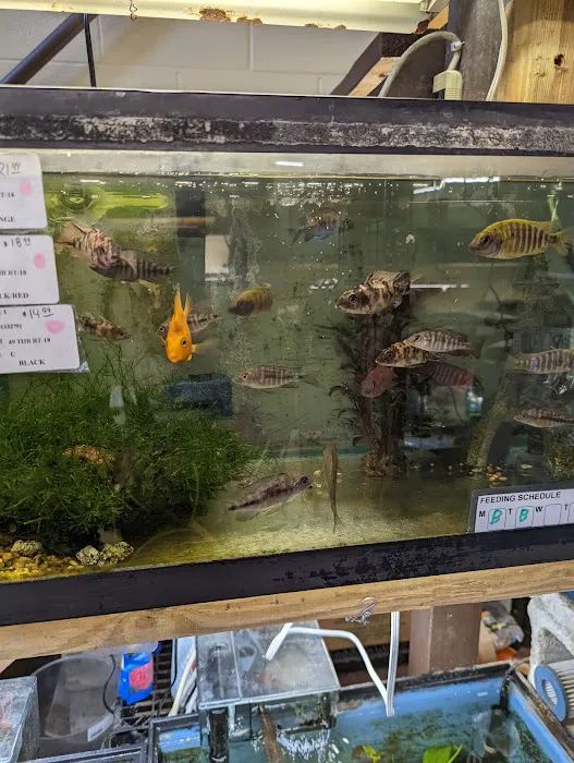 Fish Shack & Critters 12
