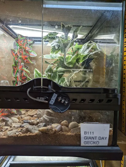Fish Shack & Critters 12