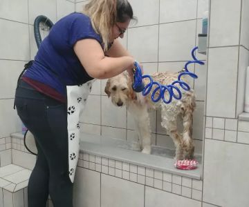 Pet Supplies Plus Kansas City (Lee's Summit)
