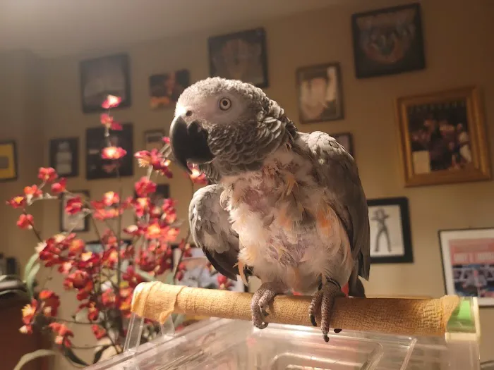 Center For Avian & Exotic Medicine 5