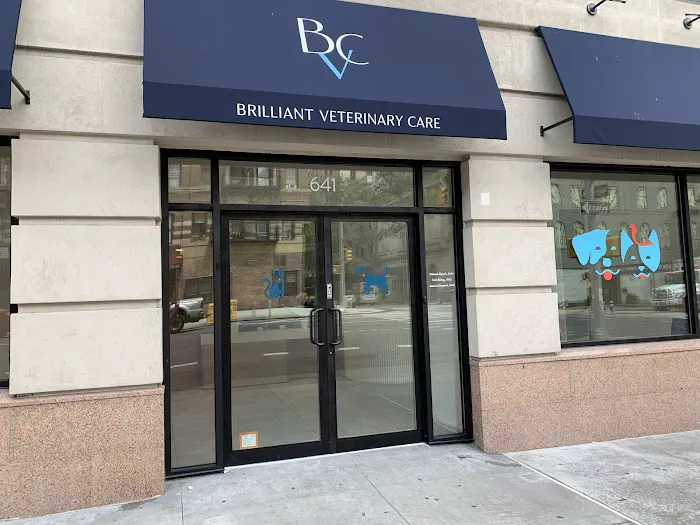 Brilliant Veterinary Care 2