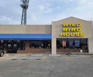 Wild Bird House