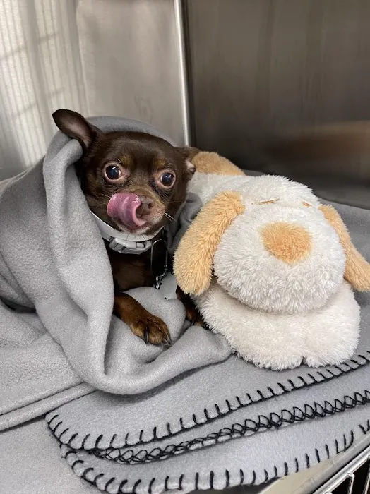 Small Door Veterinary - Upper West Side 1