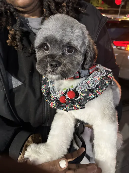 Small Door Veterinary - Upper West Side 7