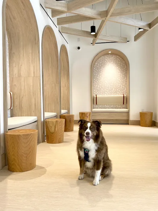 Small Door Veterinary - Upper West Side 10