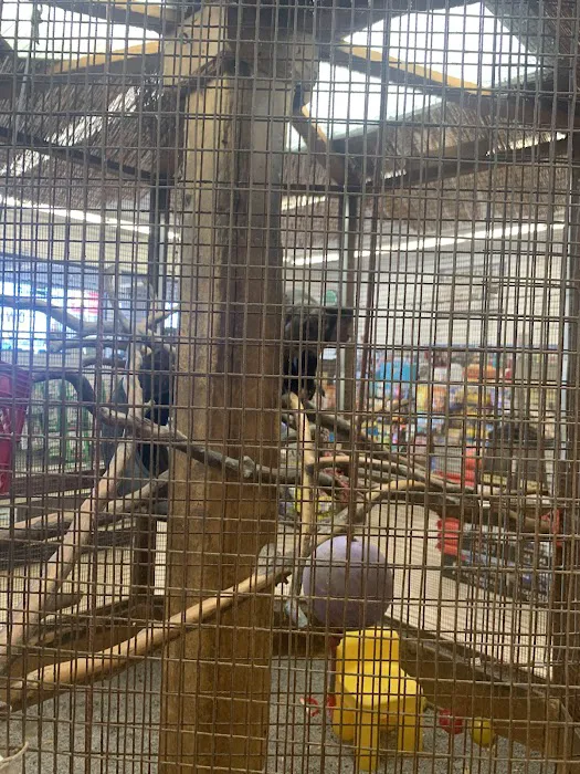 Pet Stop 8