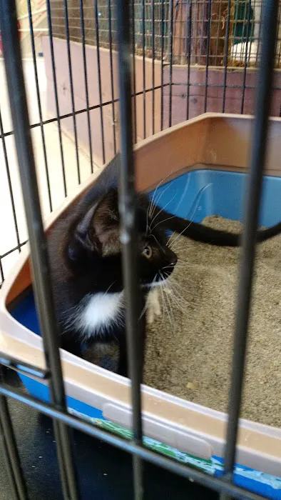 Pet Stop 3