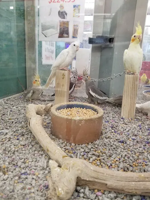 Pet Stop 5