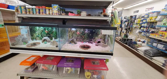 Pet Stop 4