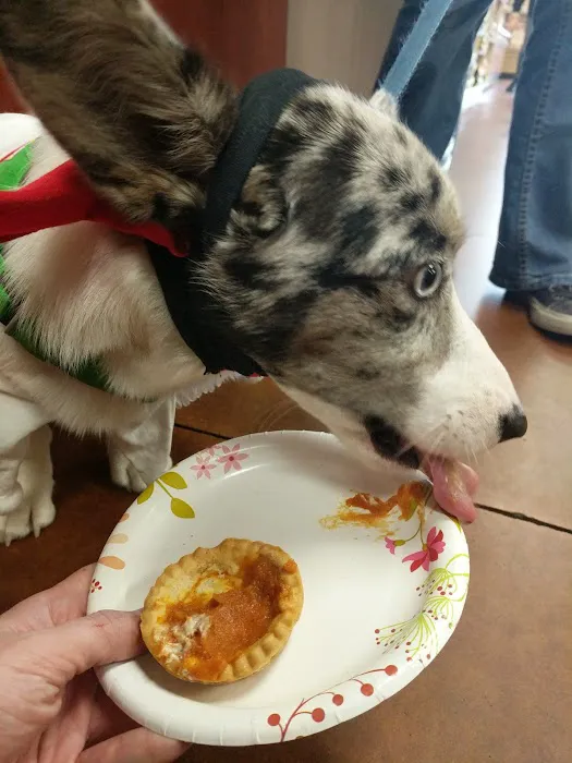 Three Dog Bakery - Leawood 1