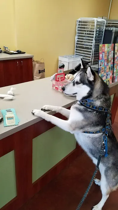 Three Dog Bakery - Leawood 10