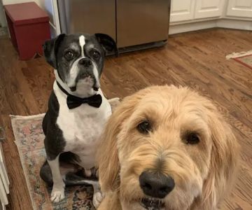 Nature's Select Pet Foods
