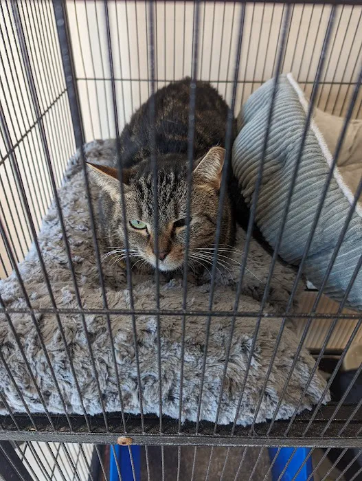 Loving Paws Animal Hospital 12