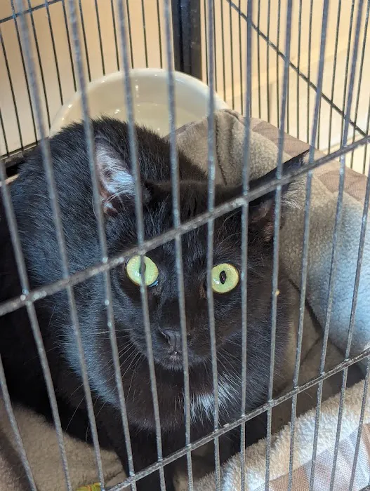 Loving Paws Animal Hospital 12