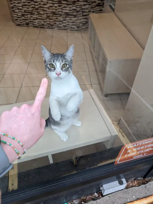Loving Paws Animal Hospital 12