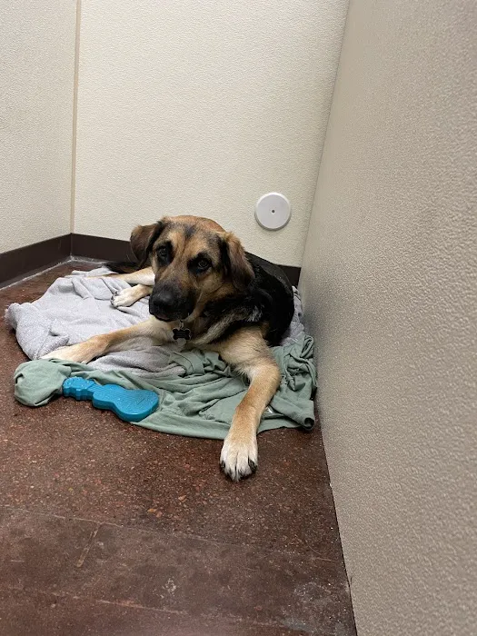 Family Pet Hospital 12