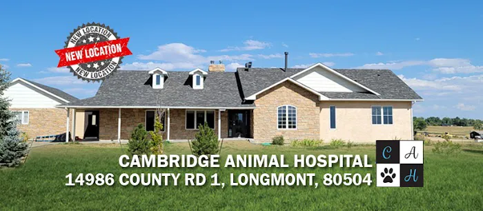 Cambridge Animal Hospital 4