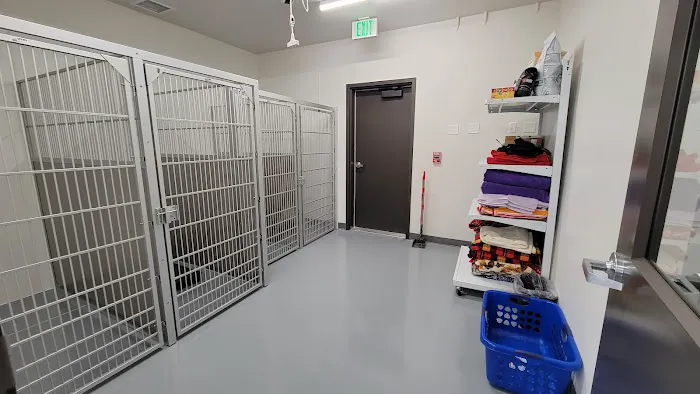 Cambridge Animal Hospital 2