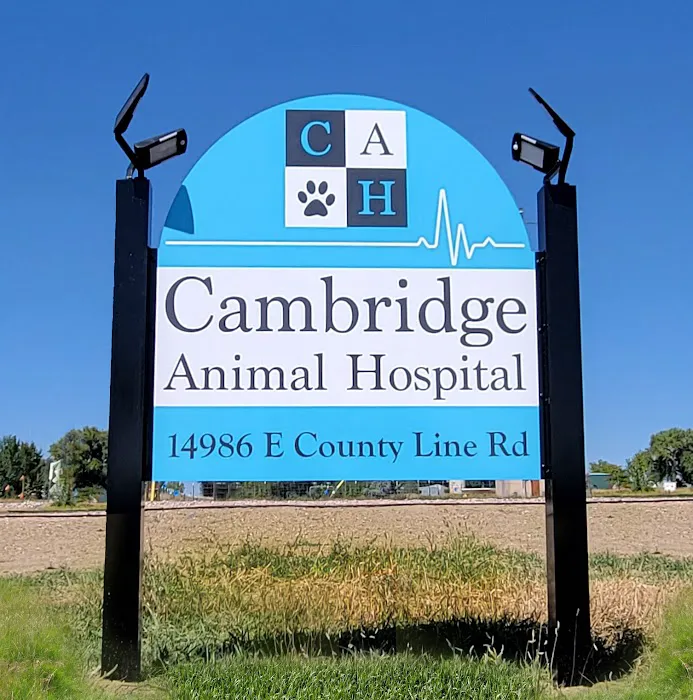 Cambridge Animal Hospital 5