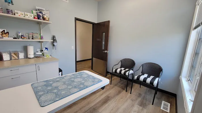 Cambridge Animal Hospital 7
