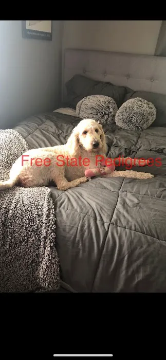 Free State Pedigrees 12