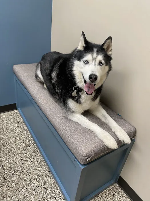 A Pet's Place Animal Hospital 1