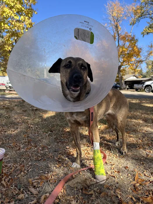 A Pet's Place Animal Hospital 6
