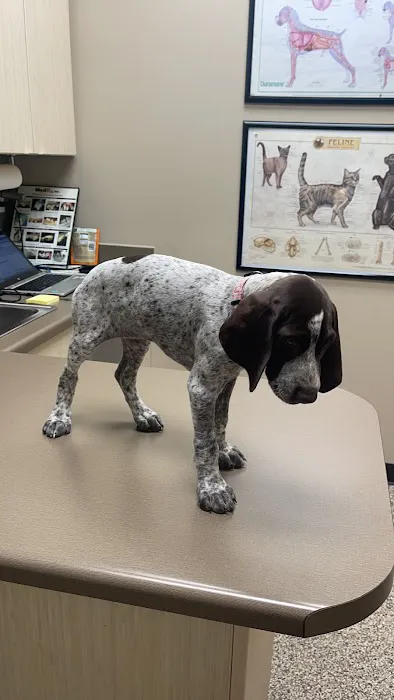 A Pet's Place Animal Hospital 3