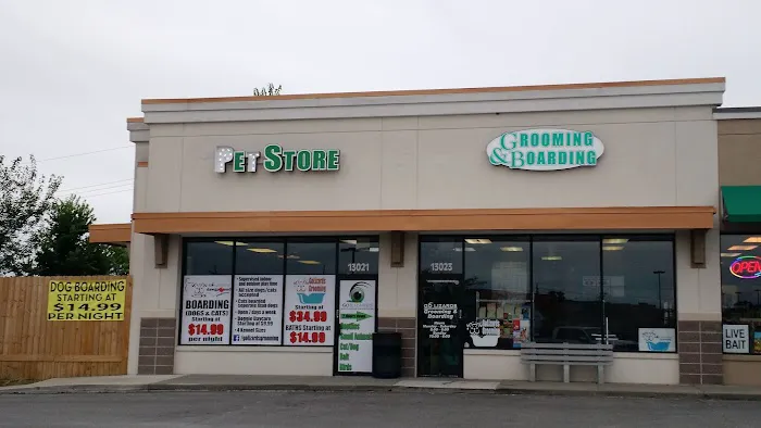 GoLizards Grooming, Boarding and Daycare 12