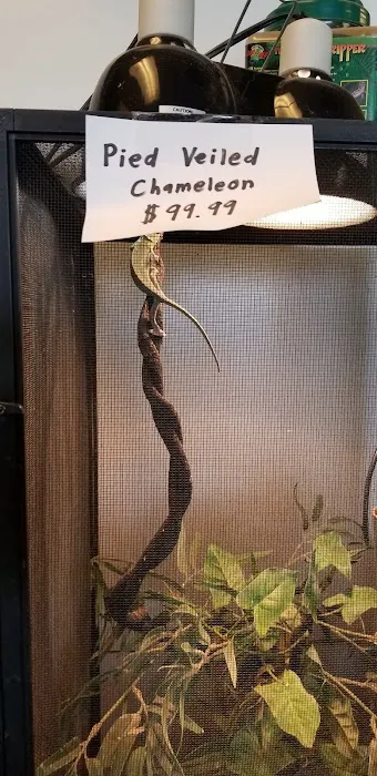 GoLizards Grooming, Boarding and Daycare 12