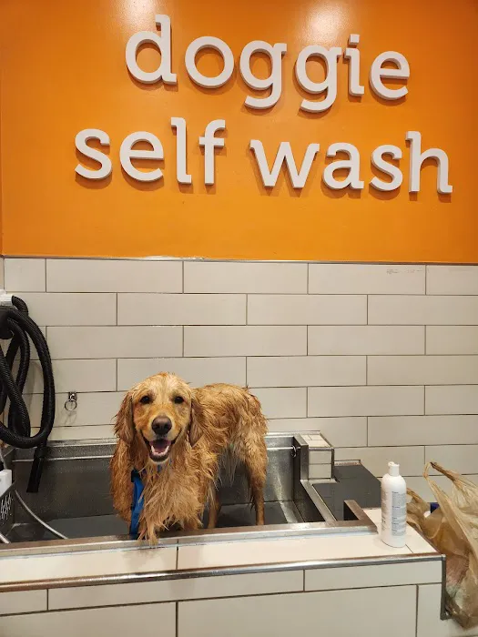 Petco 1