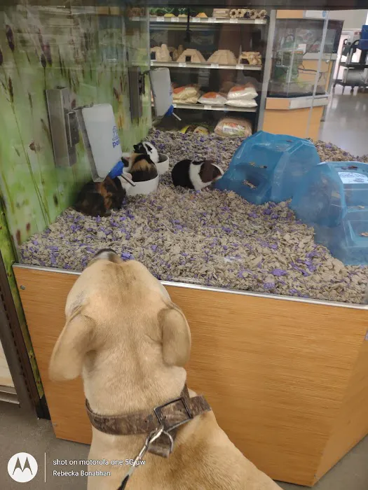 Petco 2