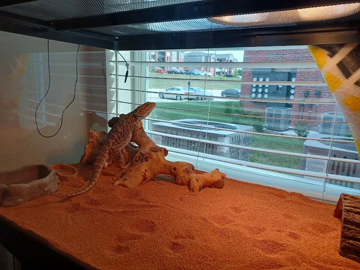 Petco 8