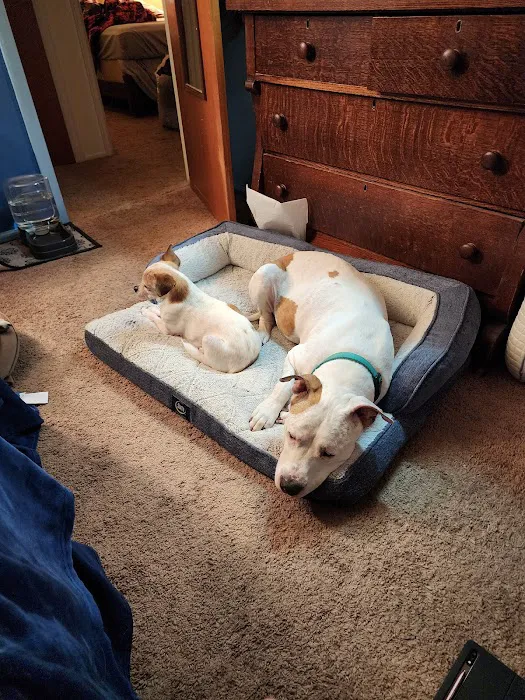 Banfield Pet Hospital 2