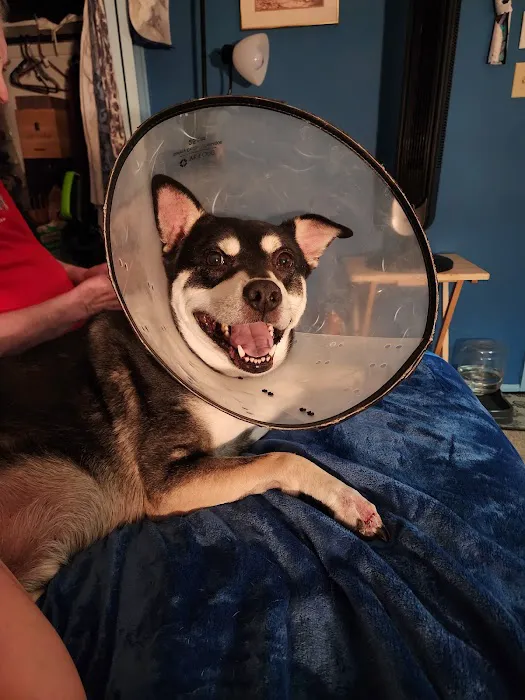 Banfield Pet Hospital 1