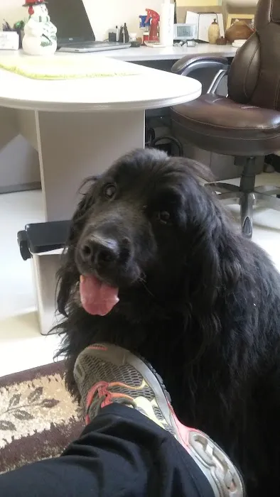 Chaparral Animal Health Center 6