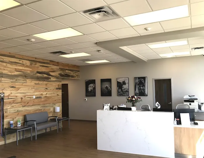 Emergency Pet Clinic of Longmont 5