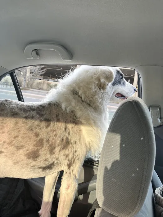 Emergency Pet Clinic of Longmont 8