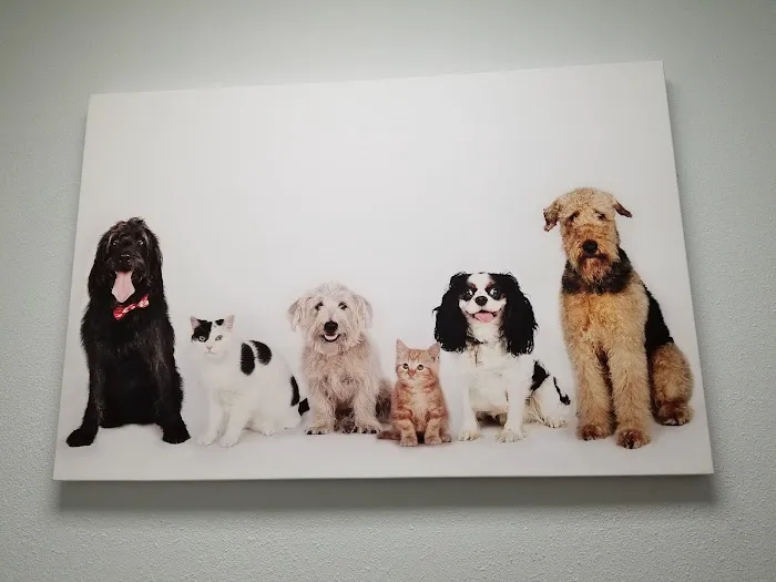 Emergency Pet Clinic of Longmont 9